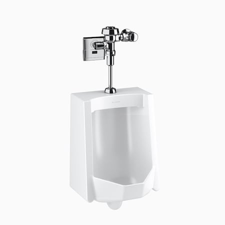 Sloan WEUS1006.1301 SU1009 and RYL 186-1 ESS Urinal and Flushometer Combo 10061301
